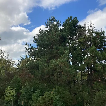 Homestay Logies Zilt